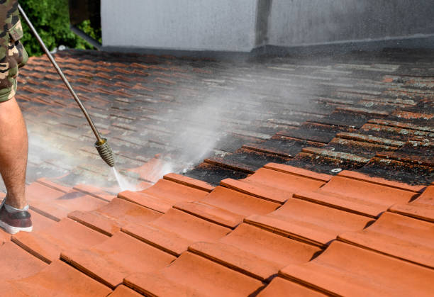 Best Affordable Pressure Washing  in Kaukauna, WI